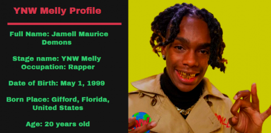 YNW Melly Net Worth